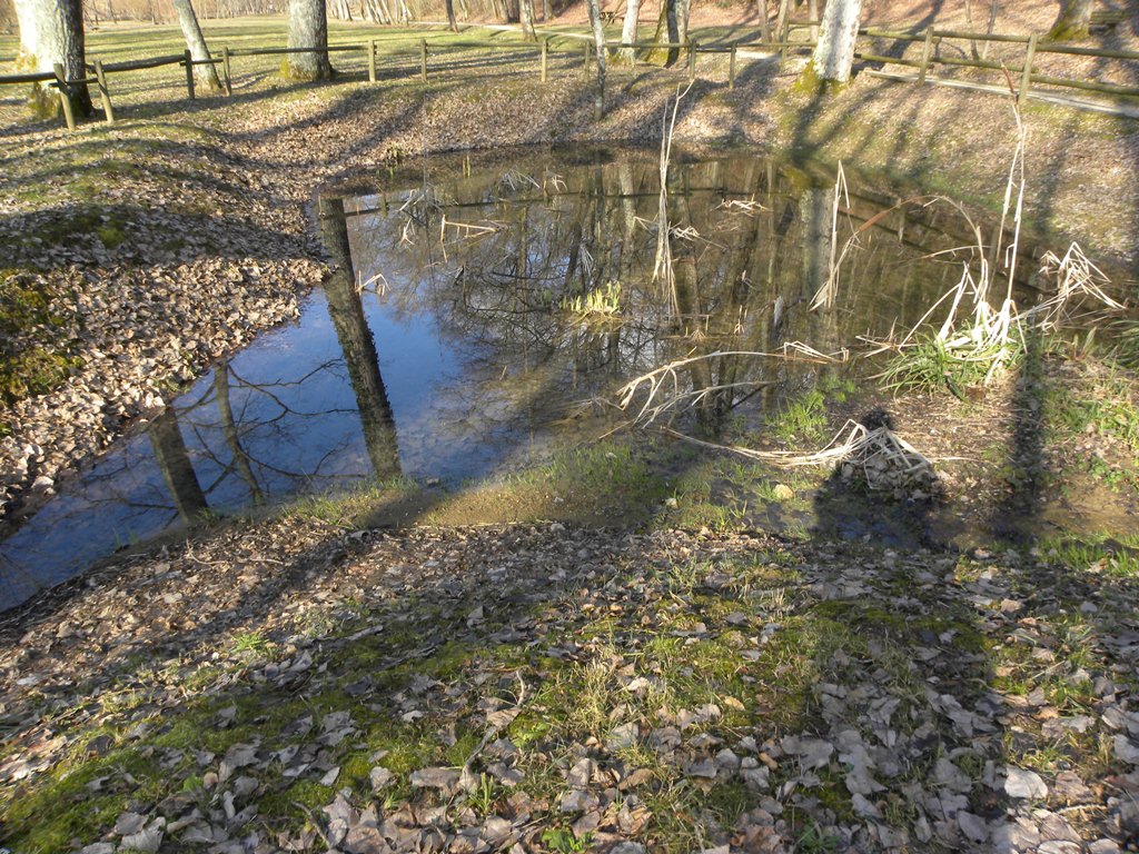 Qualche timido risveglio dal Friuli