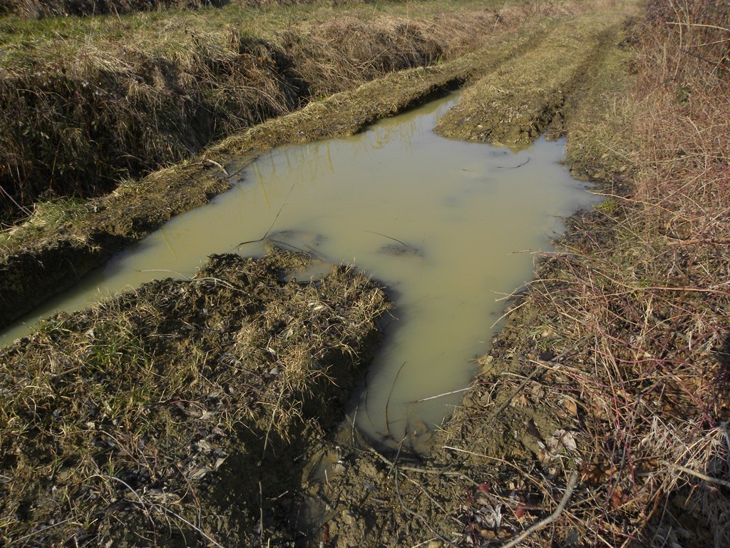 Qualche timido risveglio dal Friuli