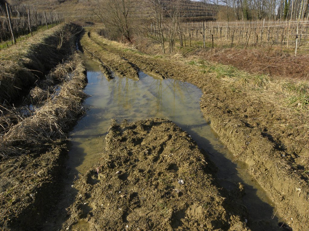 Qualche timido risveglio dal Friuli