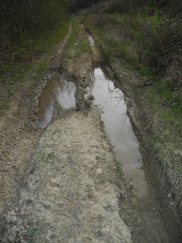 Con l''arrivo della primavera anche i primi ululoni