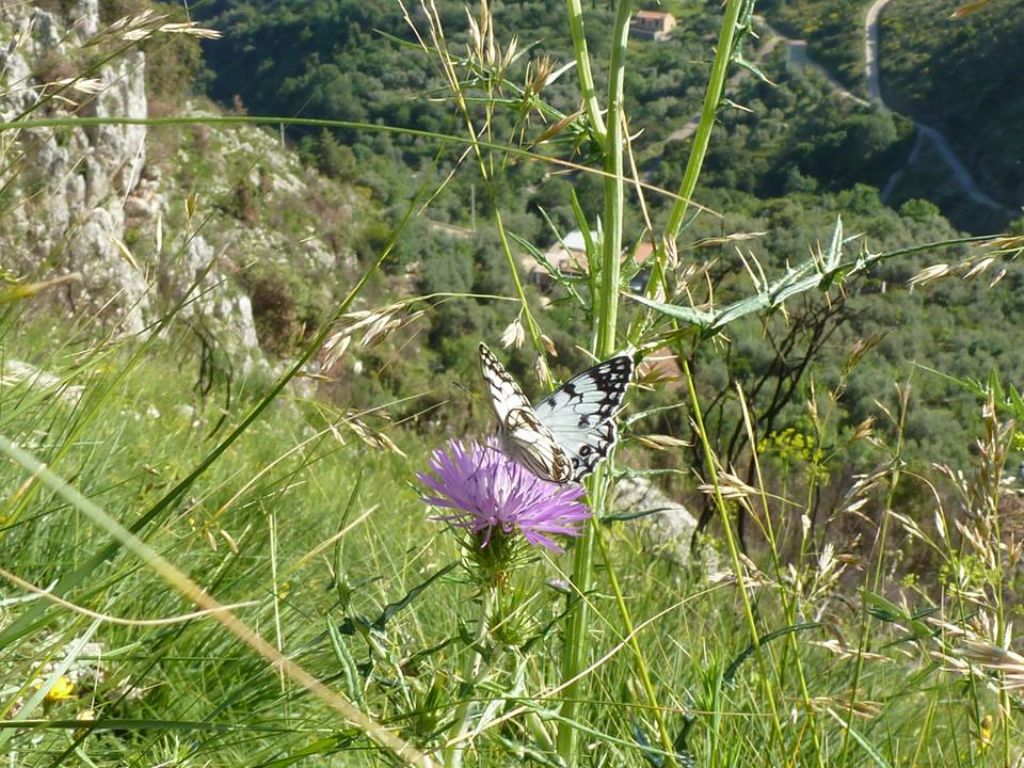 I selvaggi Monti Aurunci