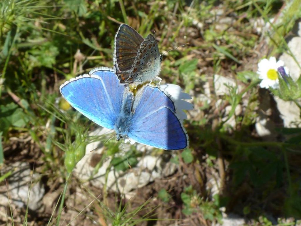 I selvaggi Monti Aurunci