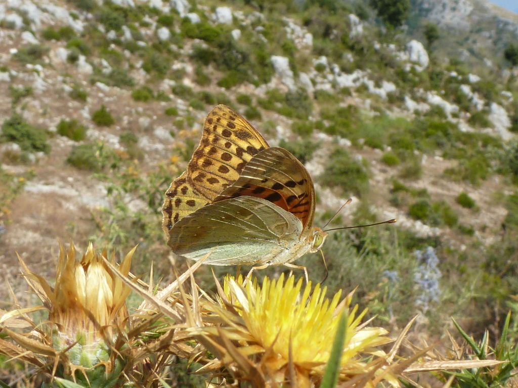 I selvaggi Monti Aurunci