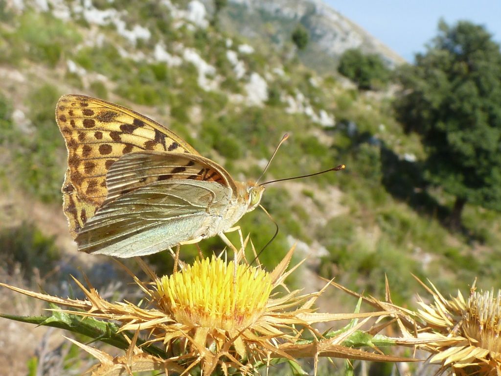 I selvaggi Monti Aurunci