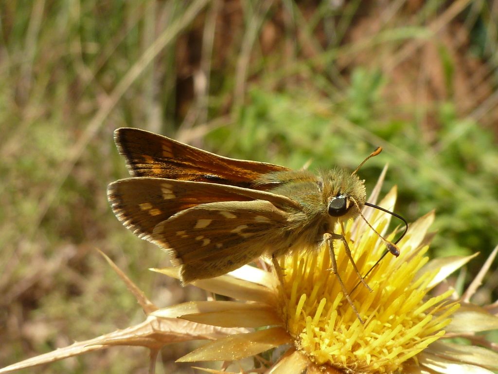 I selvaggi Monti Aurunci