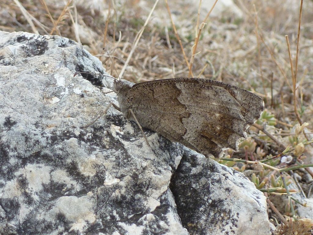 I selvaggi Monti Aurunci