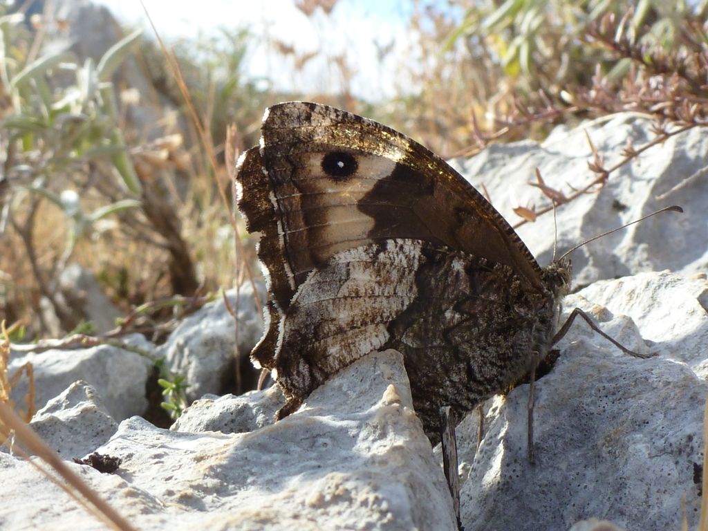 I selvaggi Monti Aurunci