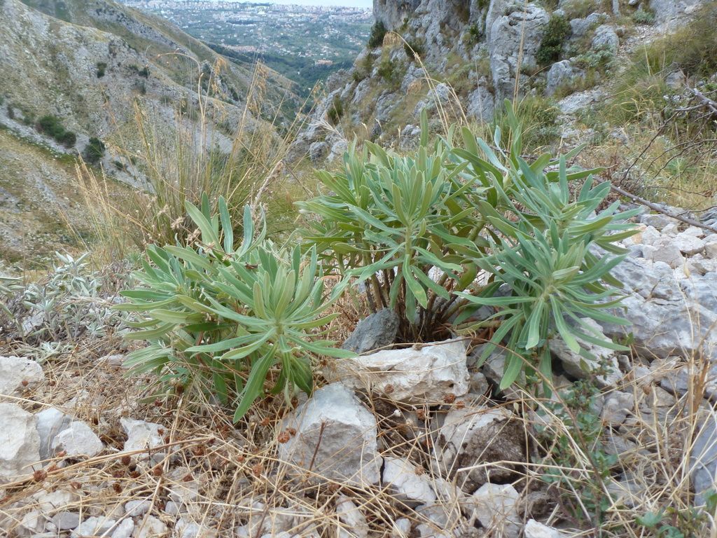 I selvaggi Monti Aurunci