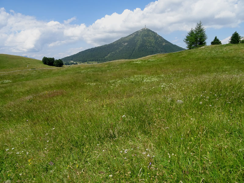 in trasparenza: Lycaena tithyrus subalpinus