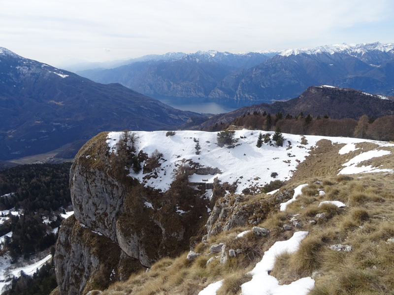 Triphosa dubitata...con domandina sul ragno !