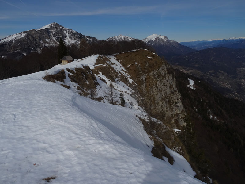 Triphosa dubitata...con domandina sul ragno !