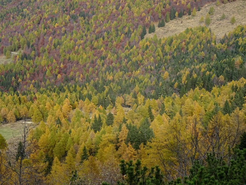 canalone Sud-Est (Geroni) .......del Monte Stivo