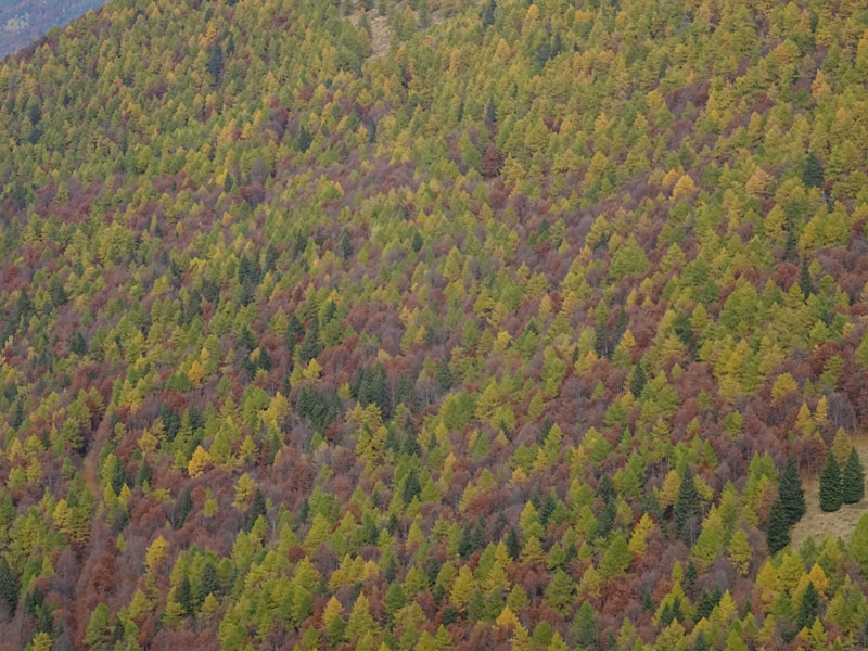 canalone Sud-Est (Geroni) .......del Monte Stivo