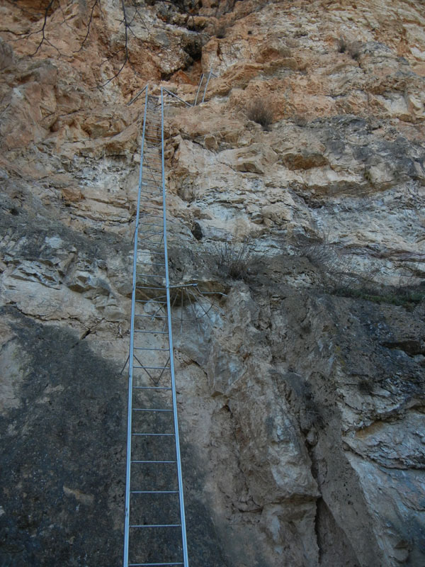 Castelli,Torri e Palazzi.....del Trentino