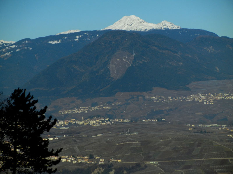 Castelli,Torri e Palazzi.....del Trentino