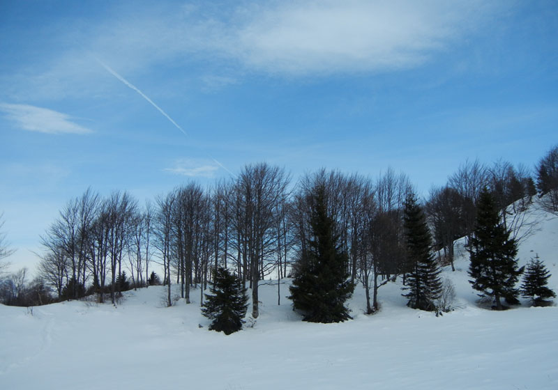 Giro dei Rostoni.....Monte Bondone