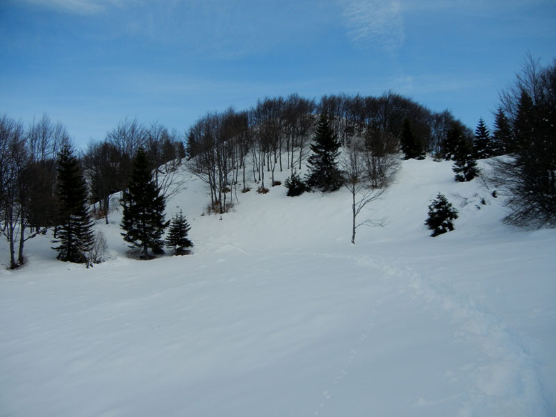 Giro dei Rostoni.....Monte Bondone