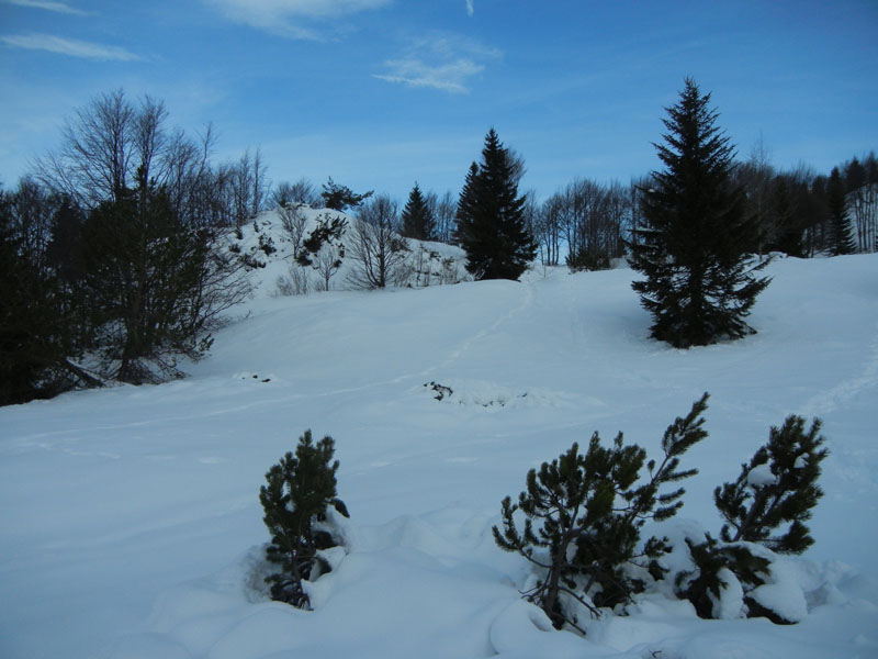 Giro dei Rostoni.....Monte Bondone