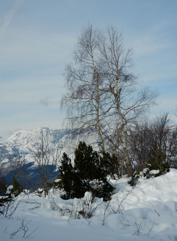 Giro dei Rostoni.....Monte Bondone