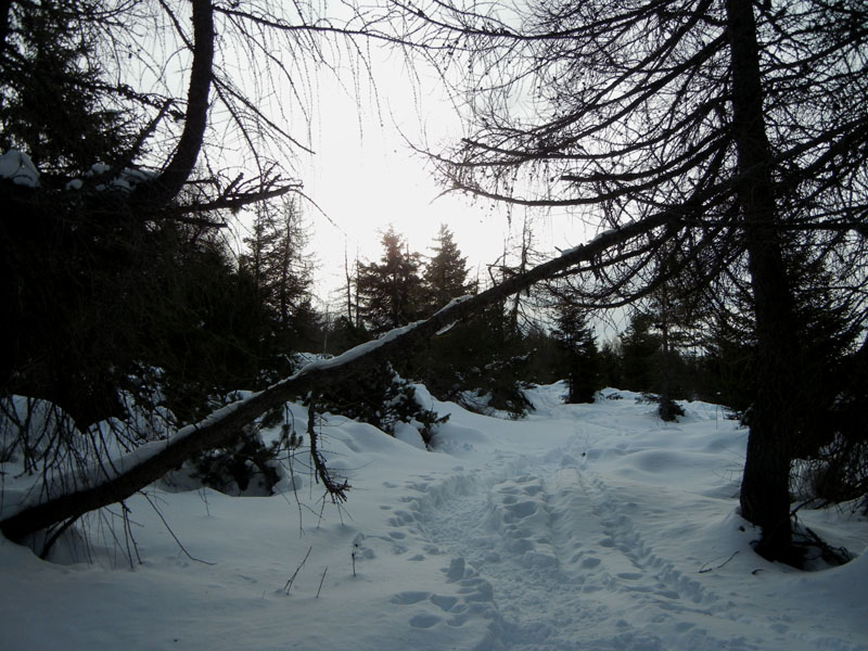 Giro dei Rostoni.....Monte Bondone