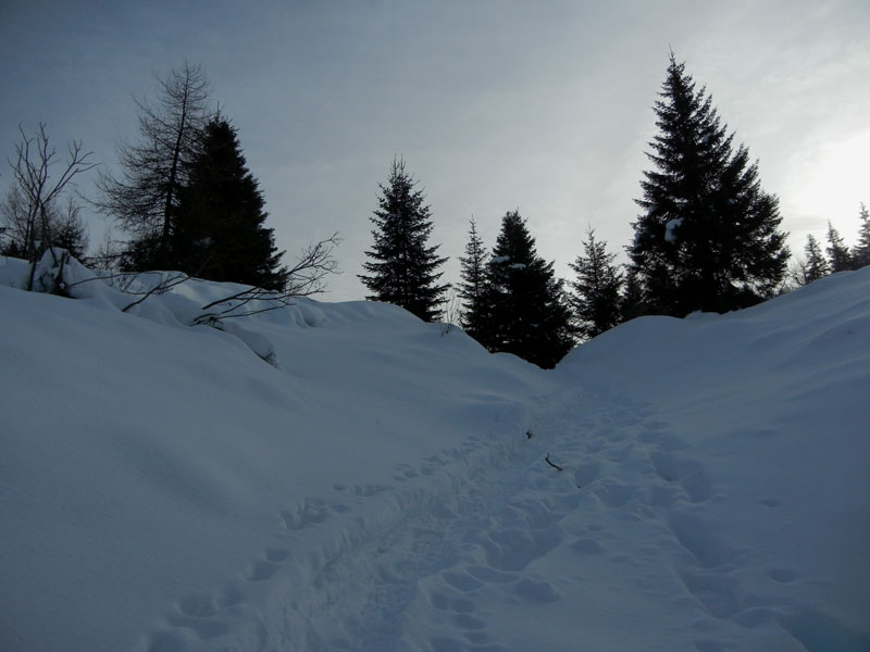 Giro dei Rostoni.....Monte Bondone