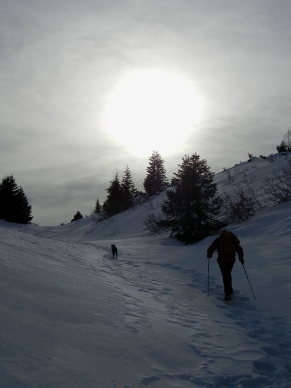 Giro dei Rostoni.....Monte Bondone