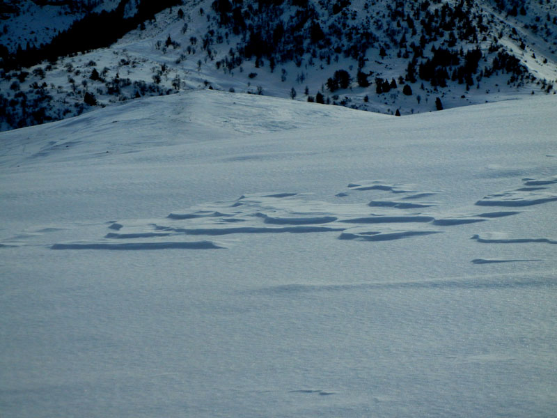 Giro dei Rostoni.....Monte Bondone