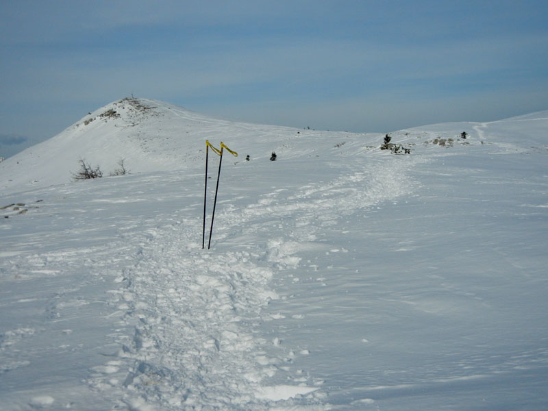 Giro dei Rostoni.....Monte Bondone