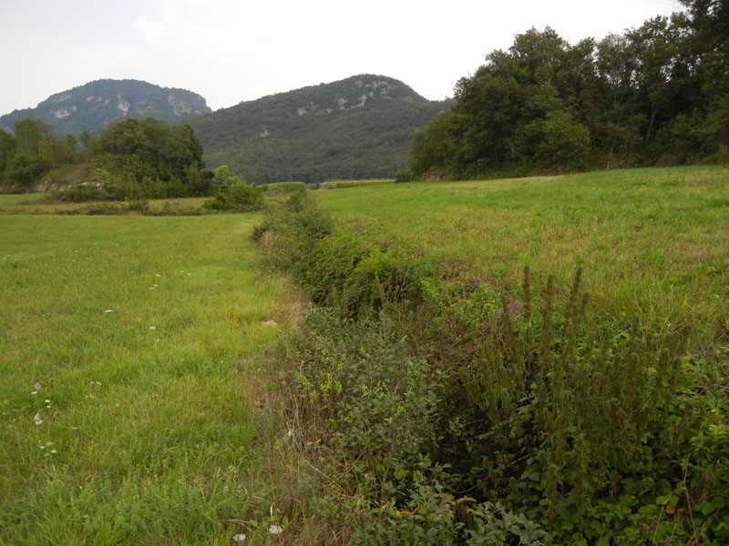 femmina di Paraleptophlebia submarginata - Vezzano (TN)