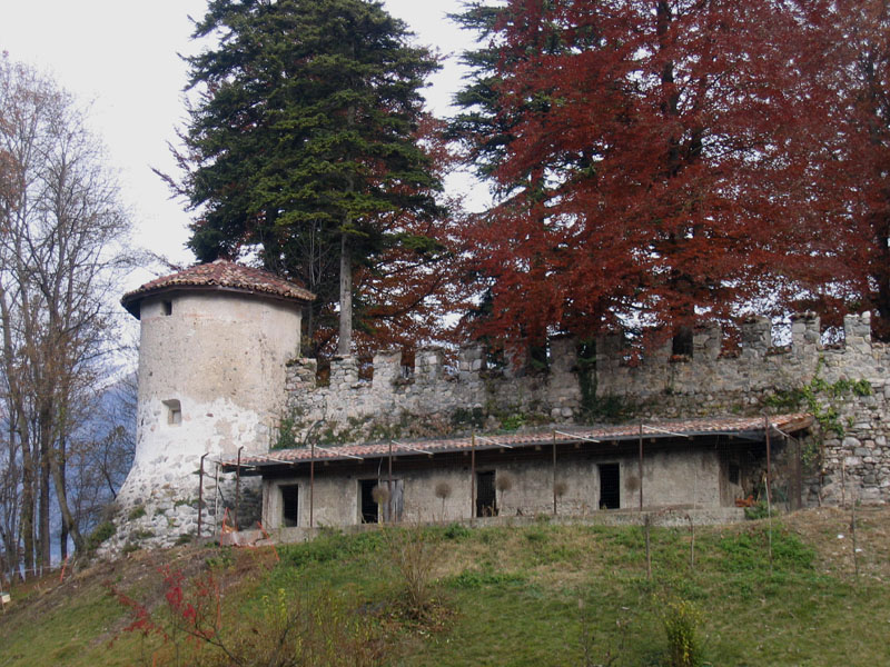 Castelli,Torri e Palazzi.....del Trentino