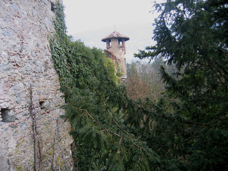 Castelli,Torri e Palazzi.....del Trentino