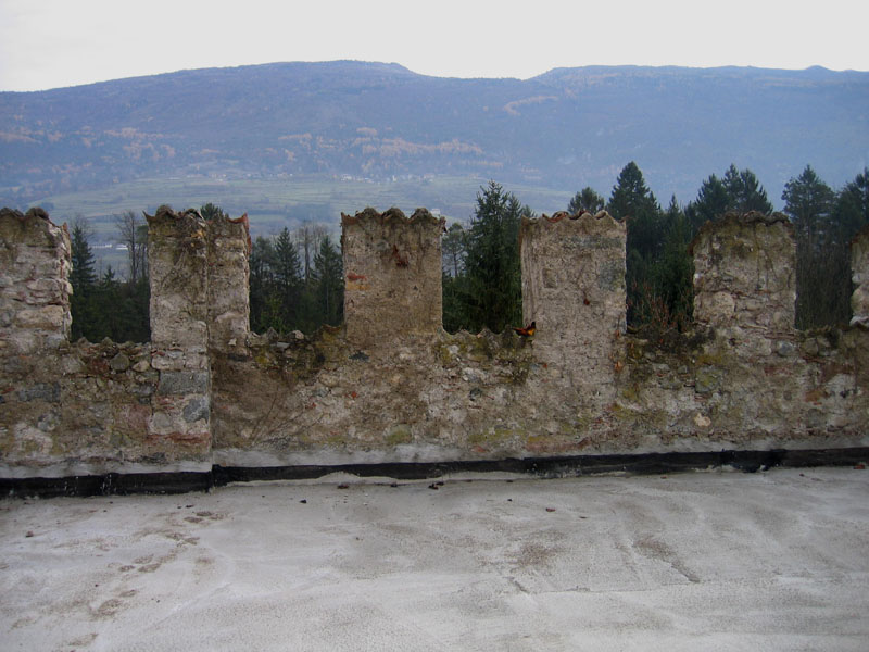 Castelli,Torri e Palazzi.....del Trentino