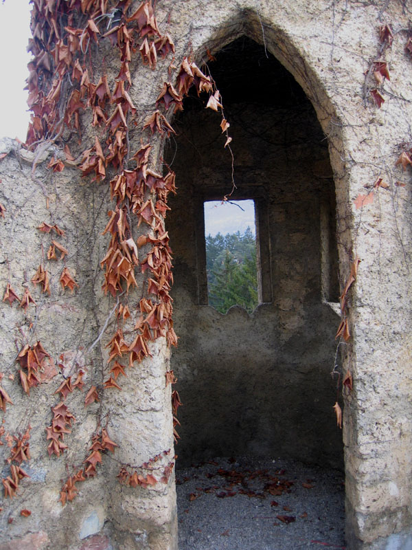 Castelli,Torri e Palazzi.....del Trentino