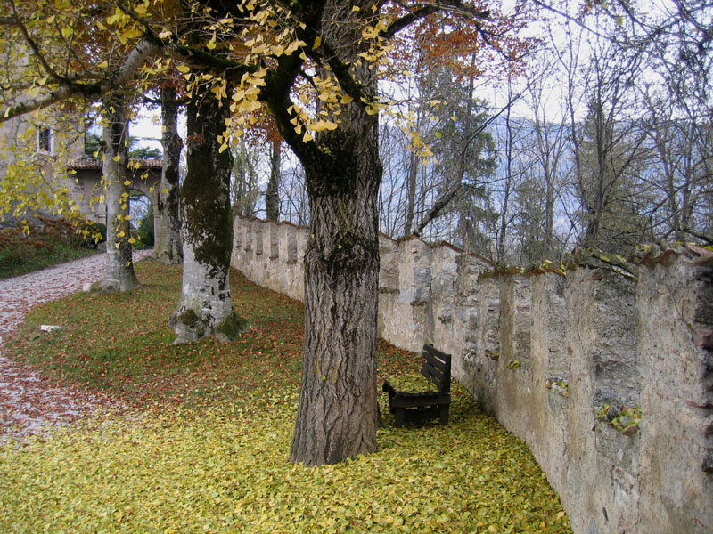 Castelli,Torri e Palazzi.....del Trentino