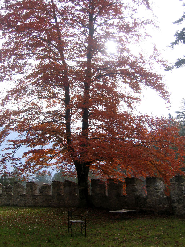 Castelli,Torri e Palazzi.....del Trentino