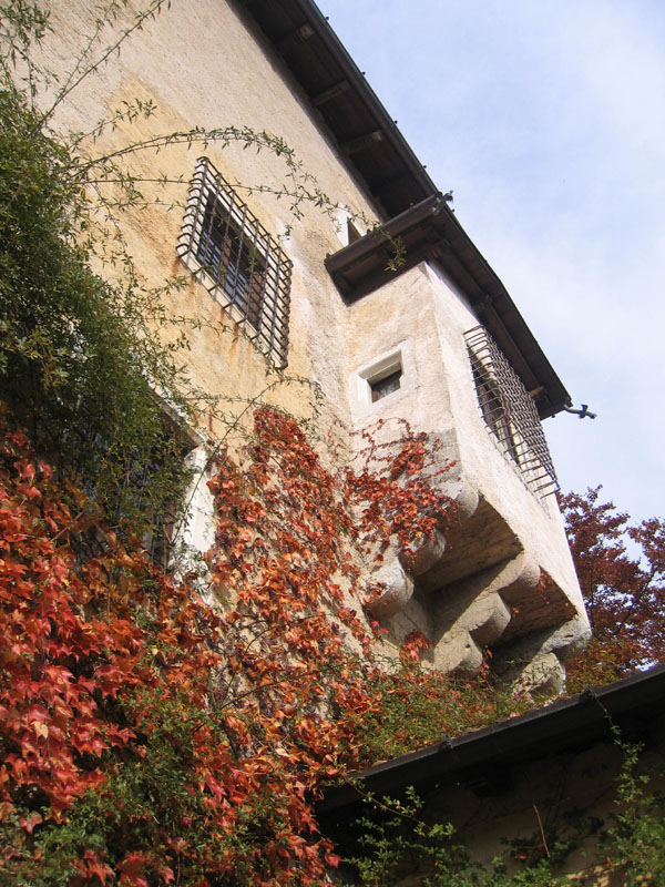 Castelli,Torri e Palazzi.....del Trentino