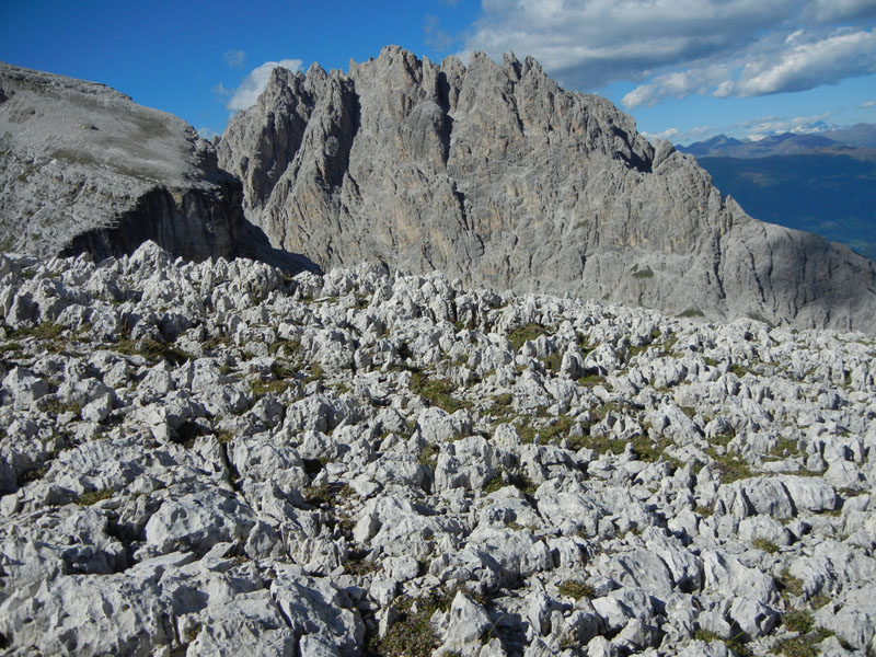 Croda dei Baranci m.2922.....Dolomiti di Sesto