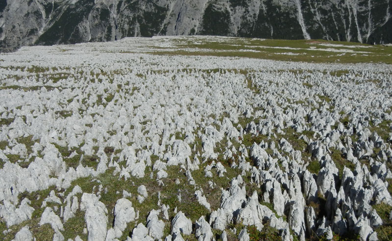 Croda dei Baranci m.2922.....Dolomiti di Sesto