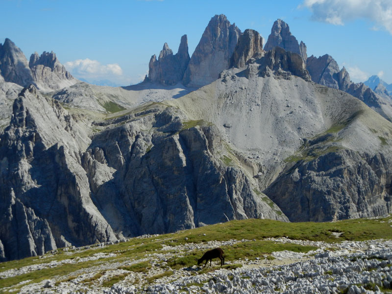 Croda dei Baranci m.2922.....Dolomiti di Sesto