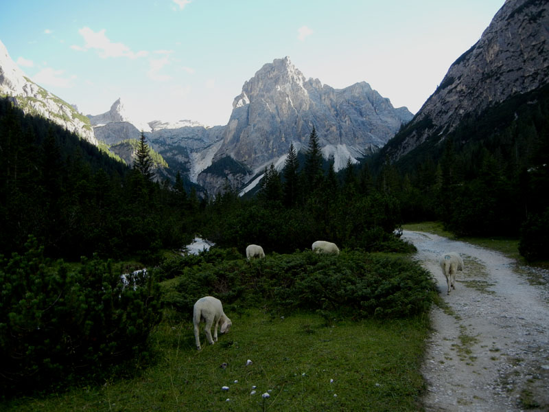 Croda dei Baranci m.2922.....Dolomiti di Sesto