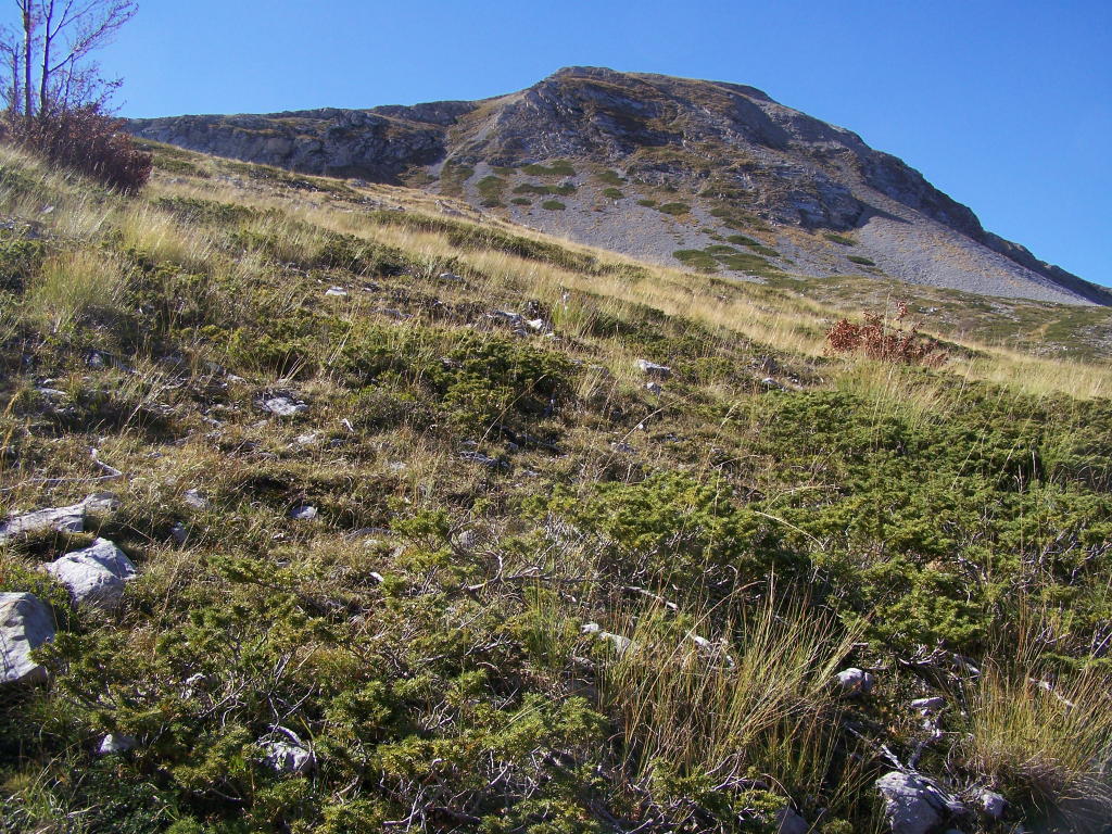 il monte marsicano