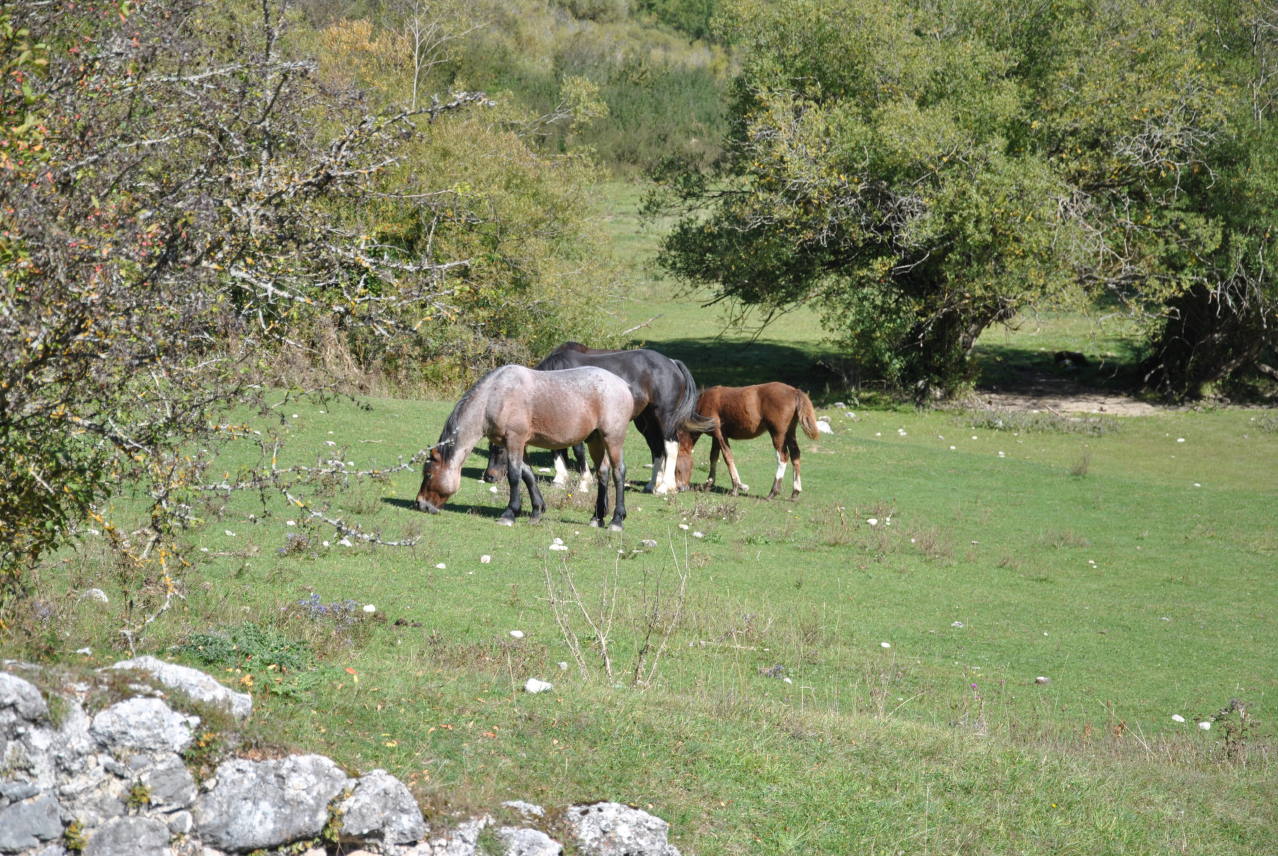 Natura Mediterraneo festeggia i 10 anni!! Raduno NM