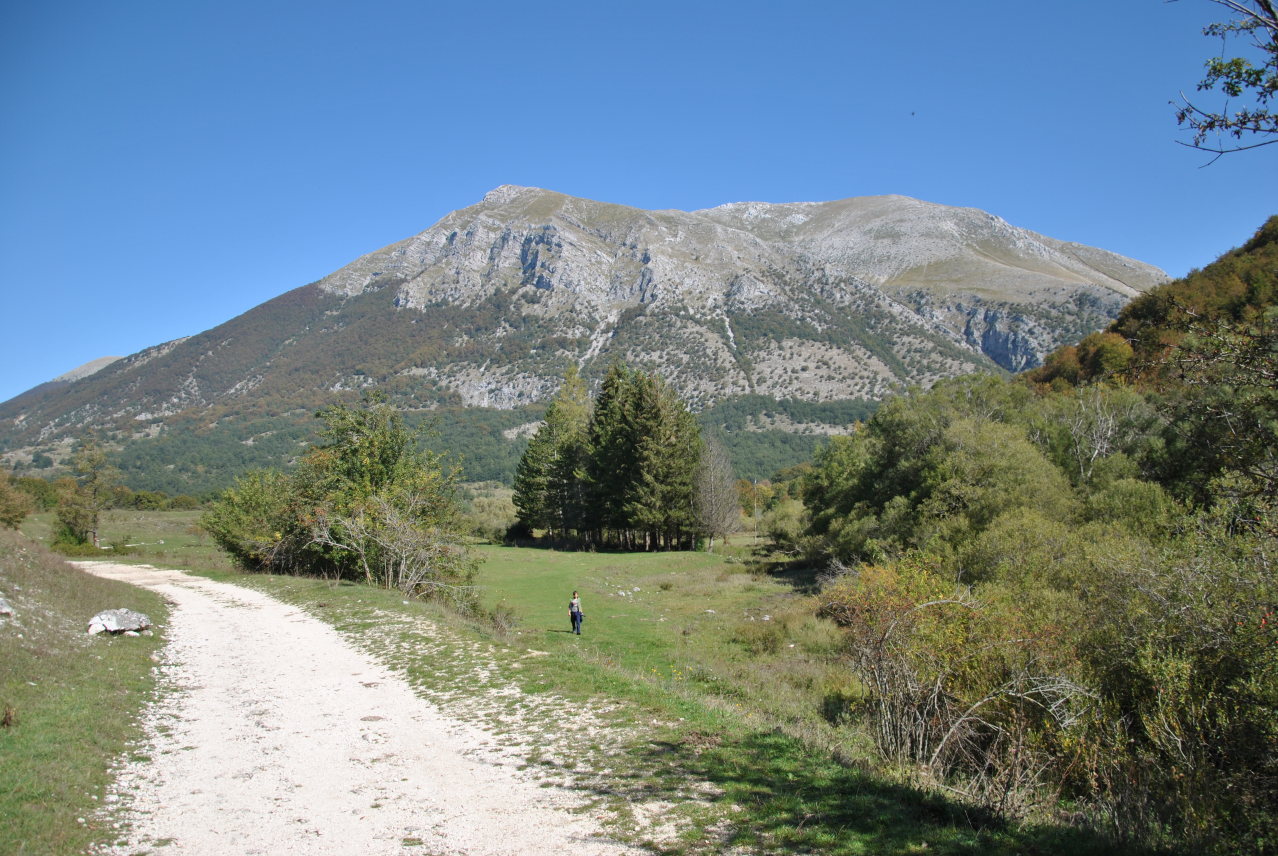 Natura Mediterraneo festeggia i 10 anni!! Raduno NM