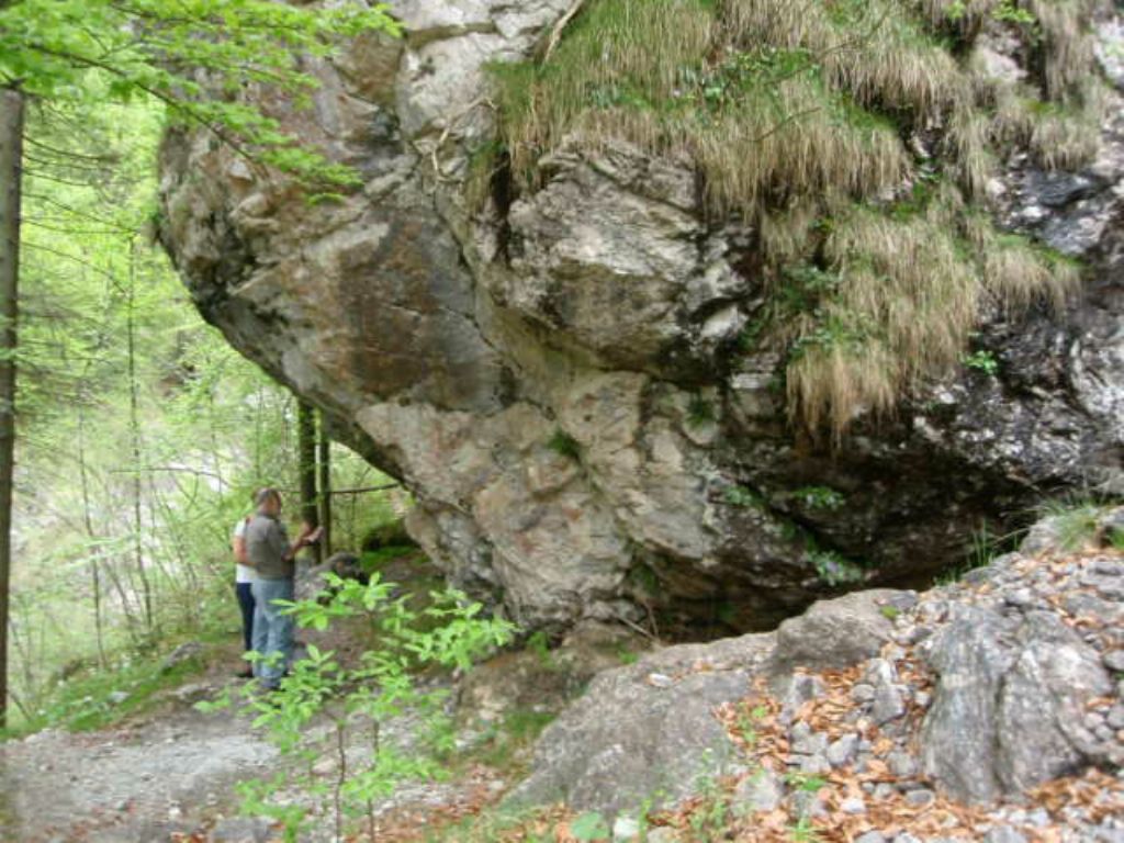 In Val d''Ancogno ad ammirare la Primula albenensis