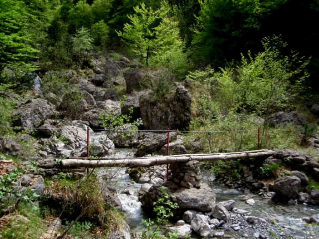 In Val d''Ancogno ad ammirare la Primula albenensis