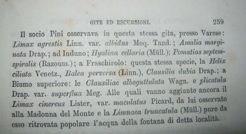 Gita a Varese , 1879