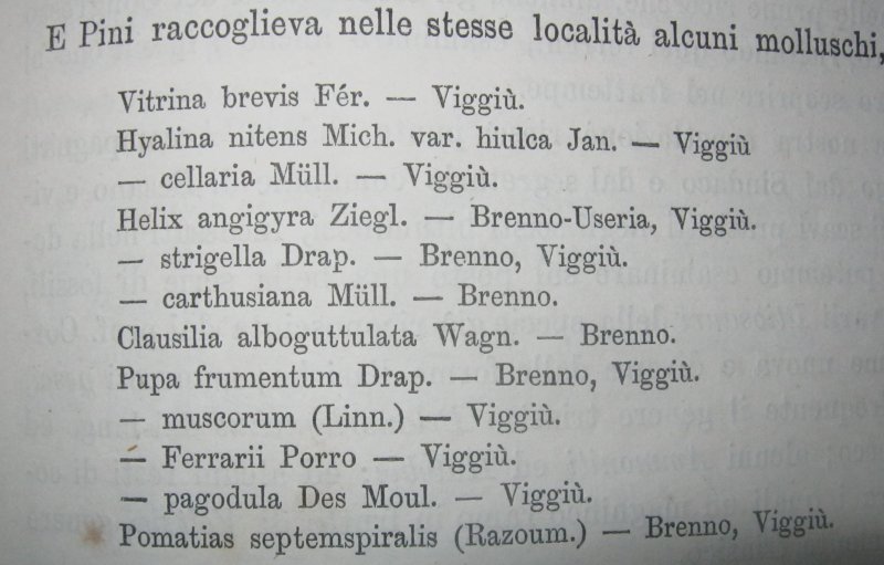 Gita a Varese , 1879