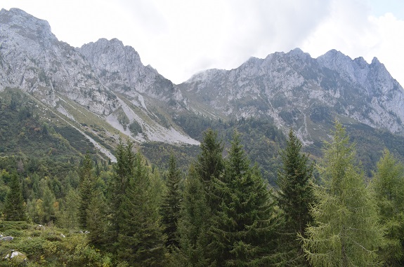 Cimone della Bagozza (2.409 m) da Cimalbosco - Gruppo della Concarena