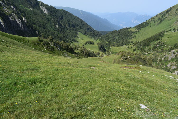 La Valle di Stabio: paradiso misconosciuto (Parco dell''Adamello)