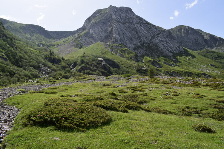 La Valle di Stabio: paradiso misconosciuto (Parco dell''Adamello)